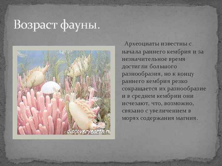 Возраст фауны. Археоциаты известны с начала раннего кембрия и за незначительное время достигли большого