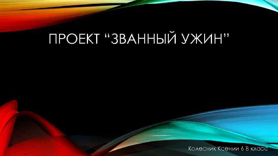 ПРОЕКТ “ЗВАННЫЙ УЖИН” Колесник Ксении 6 В класс 