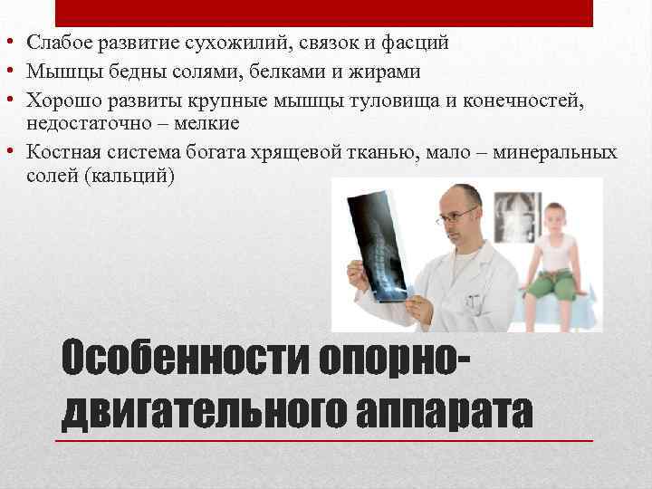  • Слабое развитие сухожилий, связок и фасций • Мышцы бедны солями, белками и