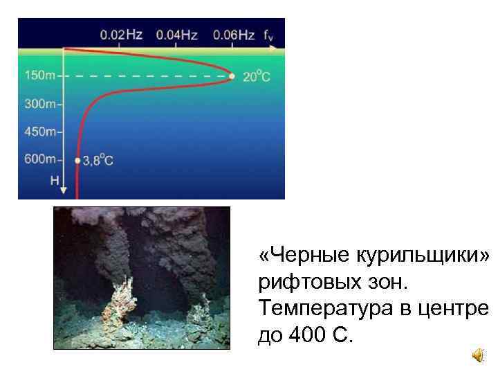  «Черные курильщики» рифтовых зон. Температура в центре до 400 С. 