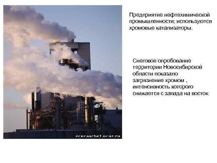 Предприятие нефтехимической промышленности; используются хромовые катализаторы. Снеговое опробование территории Новосибирской области показало загрязнение хромом