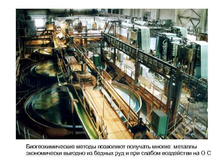 Биогеохимические методы позволяют получать многие металлы экономически выгодно из бедных руд и при слабом