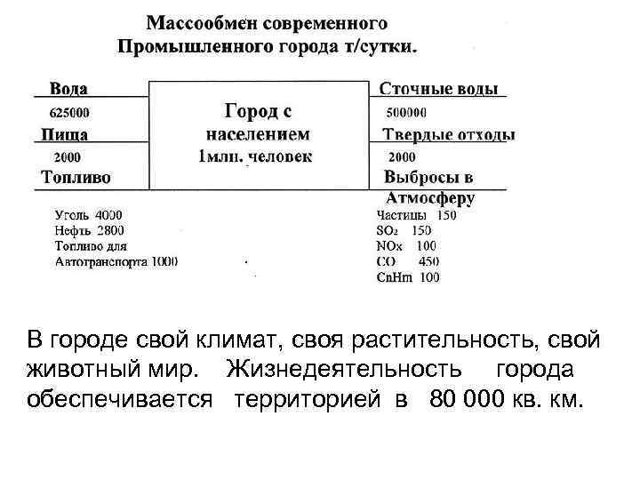 В городе свой климат, своя растительность, свой животный мир. Жизнедеятельность города обеспечивается территорией в