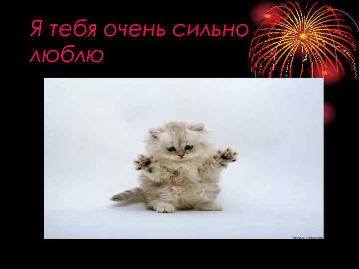 Я тебя очень сильно люблю 