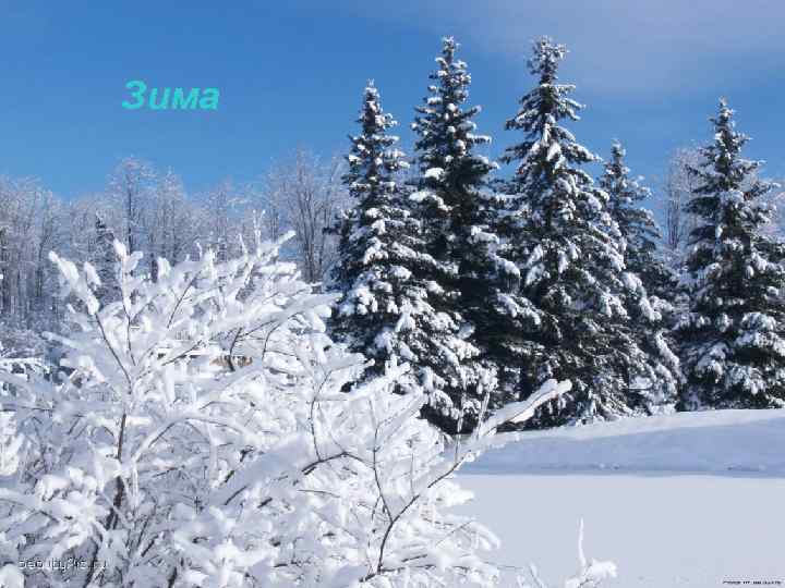 Зима 