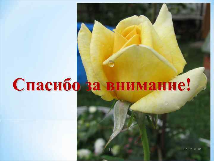 Спасибо за внимание! 16 07. 02. 2018 
