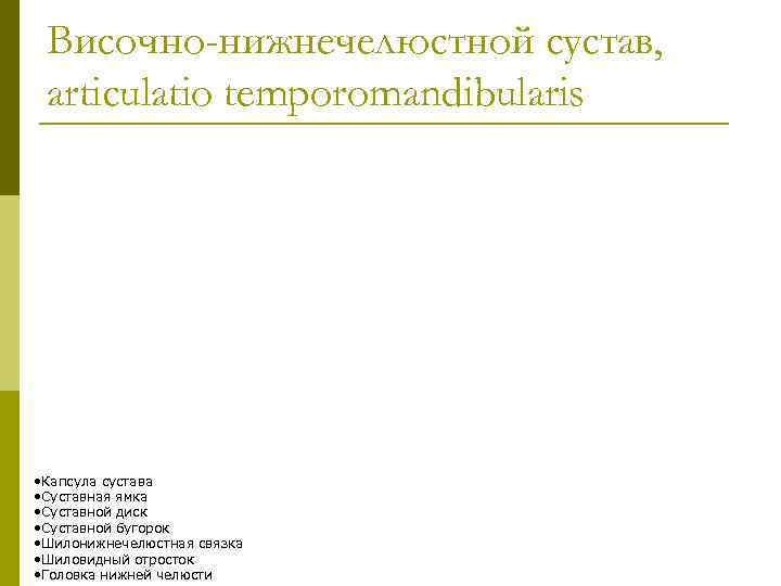 Височно-нижнечелюстной сустав, articulatio temporomandibularis • Капсула сустава • Суставная ямка • Суставной диск •