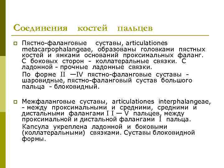 Соединения костей пальцев p Пястно фаланговые суставы, articulationes metacarpophalangeae, образованы головками пястных костей и