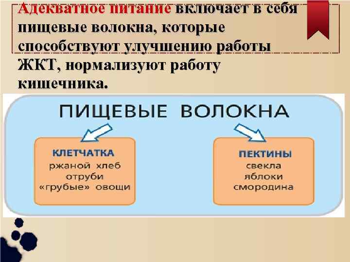 Адекватное питание включает в себя пищевые волокна, которые способствуют улучшению работы ЖКТ, нормализуют работу