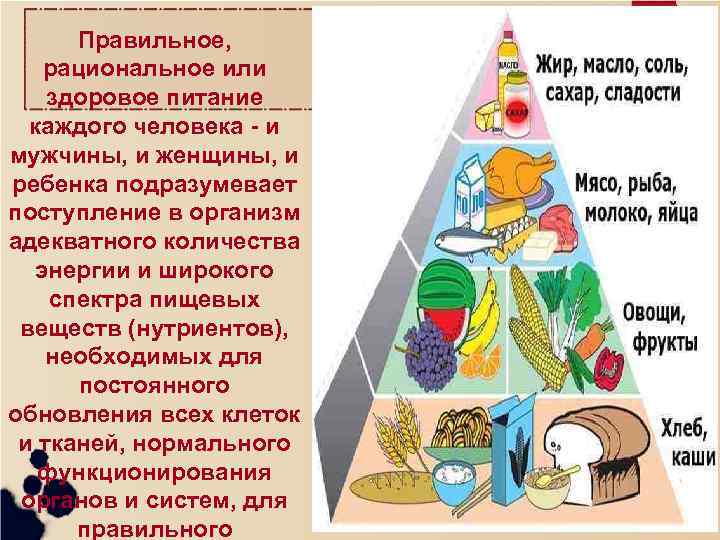 Правильное, рациональное или здоровое питание каждого человека - и мужчины, и женщины, и ребенка