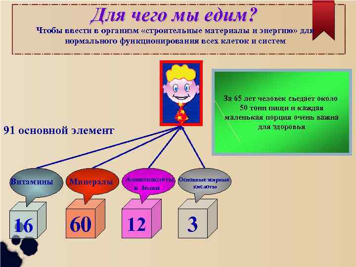 Для чего мы едим? Чтобы ввести в организм «строительные материалы и энергию» для нормального