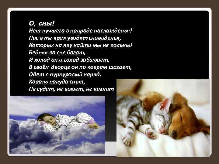 О, сны! Нет лучшего в природе наслажденья! Нас в те края уводят сновиденья, Которых