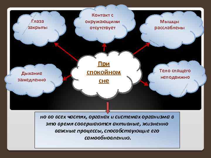 Глаза закрыты Дыхание замедленно Контакт с окружающими отсутствует При спокойном сне Мышцы расслаблены Тело