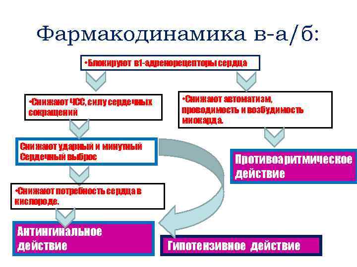 Фармакодинамика в-а/б: • Блокируют в 1 -адренорецепторы сердца • Снижают ЧСС, силу сердечных сокращений