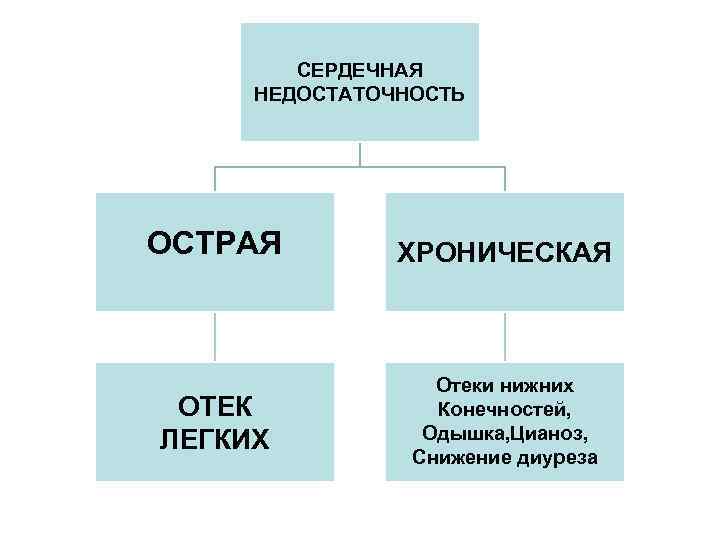 СЕРДЕЧНАЯ НЕДОСТАТОЧНОСТЬ ОСТРАЯ ОТЕК ЛЕГКИХ ХРОНИЧЕСКАЯ Отеки нижних Конечностей, Одышка, Цианоз, Снижение диуреза 