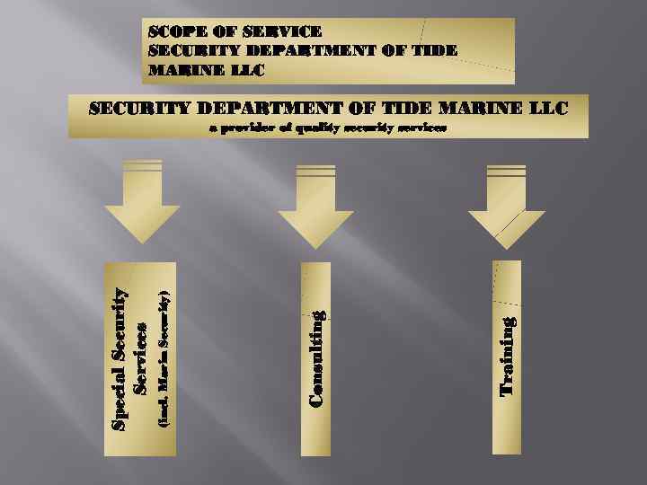 SCOPE OF SERVICE SECURITY DEPARTMENT OF TIDE MARINE LLC Training Consulting (incl. Marin Security)