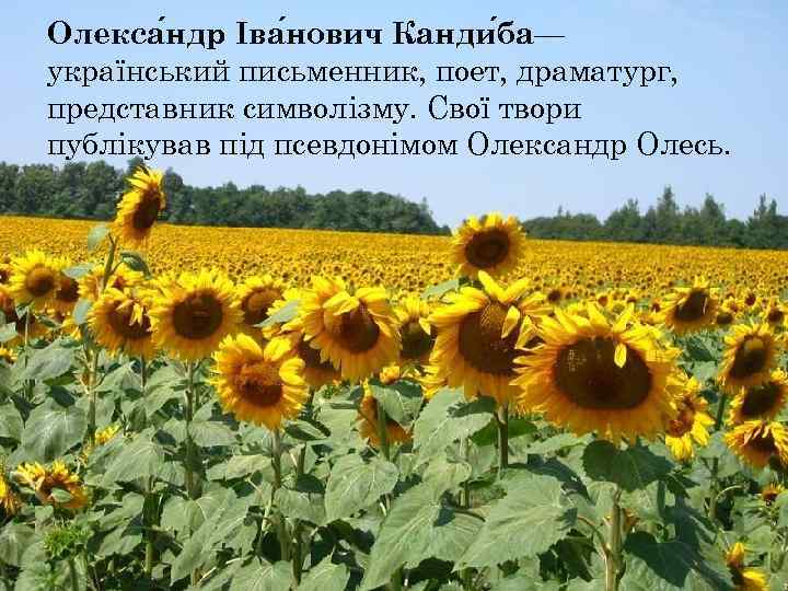 Олекса ндр Іва нович Канди ба— український письменник, поет, драматург, представник символізму. Свої твори