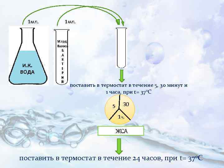 1 мл. И. К. ВОДА 1 мл. Млрд. Взвесь Б А К Т Е