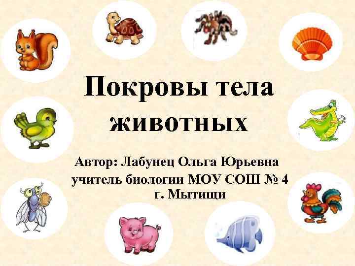 Покровы тела животных Автор: Лабунец Ольга Юрьевна учитель биологии МОУ СОШ № 4 г.