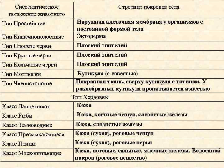 Систематическое положение животного Строение покровов тела Тип Кишечнополостные Наружная клеточная мембрана у организмов с