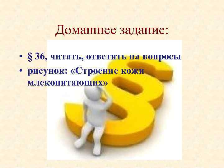 Домашнее задание: • § 36, читать, ответить на вопросы • рисунок: «Строение кожи млекопитающих»