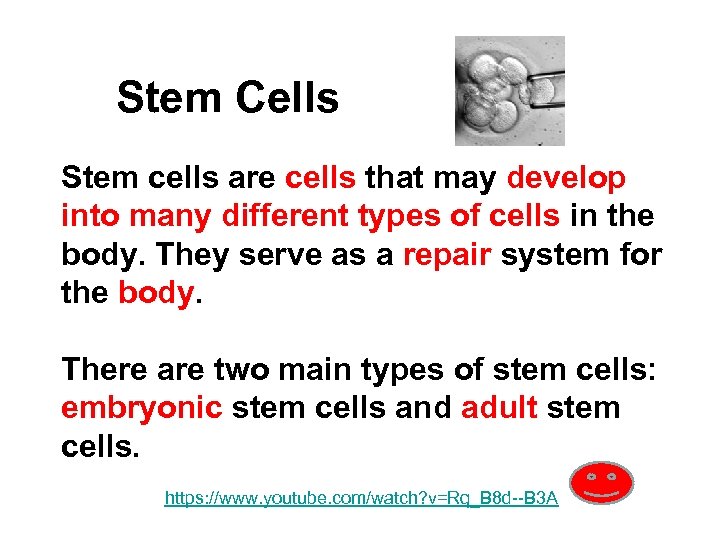 Stem Cells Stem cells are cells that may develop into many different types of