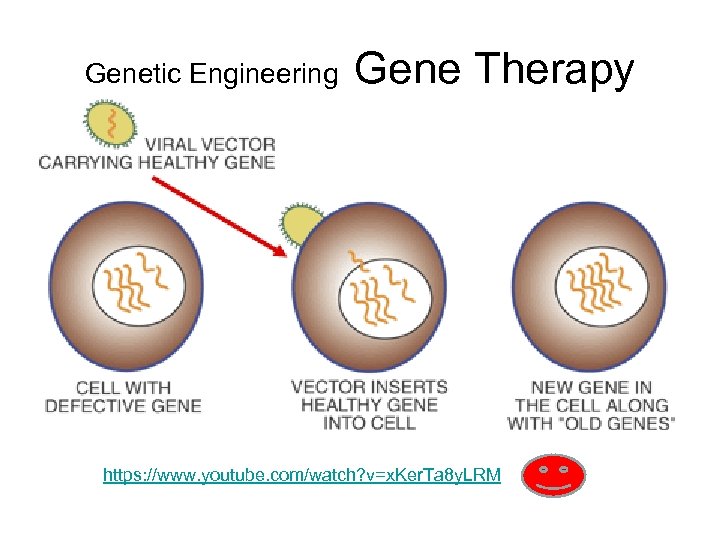 Genetic Engineering Gene Therapy https: //www. youtube. com/watch? v=x. Ker. Ta 8 y. LRM