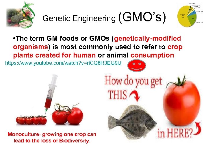 Genetic Engineering (GMO’s) • The term GM foods or GMOs (genetically-modified organisms) is most