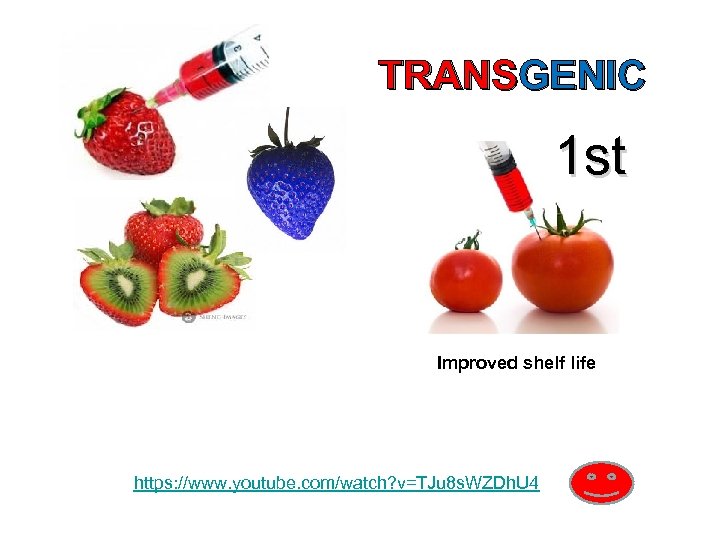 TRANSGENIC 1 st Improved shelf life https: //www. youtube. com/watch? v=TJu 8 s. WZDh.