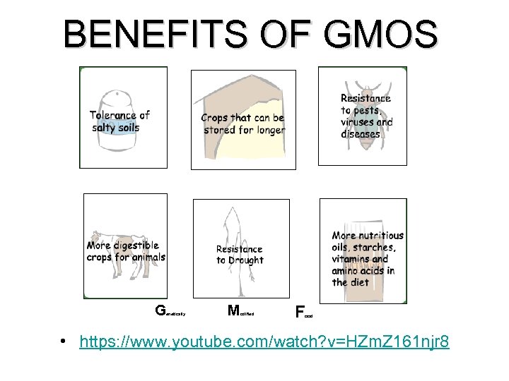 BENEFITS OF GMOS G enetically M odified F ood • https: //www. youtube. com/watch?