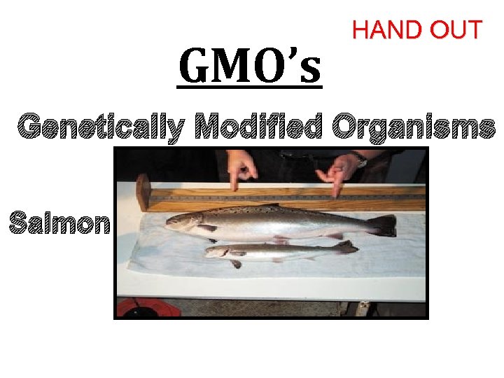 GMO’s HAND OUT Genetically Modified Organisms Salmon 