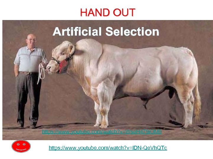 HAND OUT Artificial Selection https: //www. youtube. com/watch? v=Wse. H 479 i. OM 0