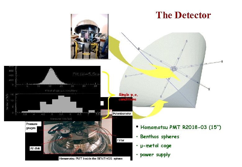 The Detector Single p. e. conditions • Hamamatsu PMT R 2018 -03 (15”) •