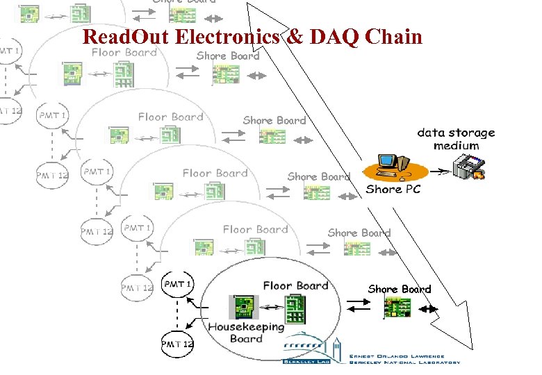 Read. Out Electronics & DAQ Chain 