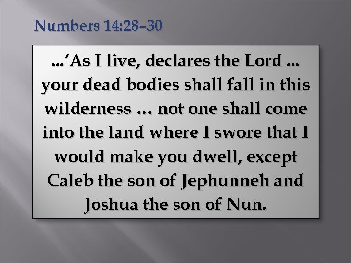 Numbers 14: 28– 30 . . . ‘As I live, declares the Lord. .