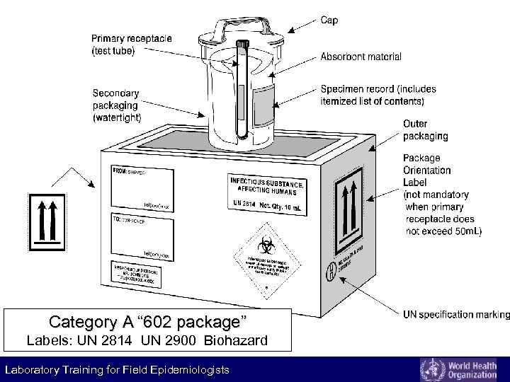Category A “ 602 package” Labels: UN 2814 UN 2900 Biohazard Laboratory Training for