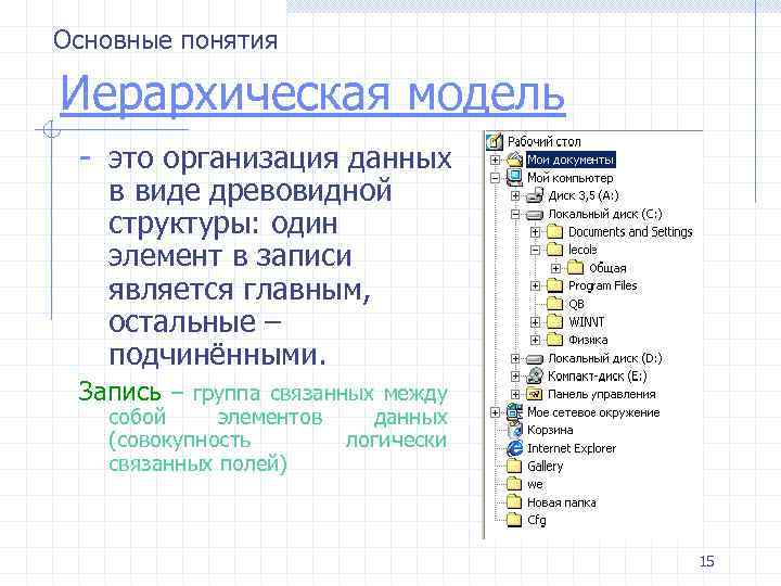 Основные понятия Иерархическая модель - это организация данных в виде древовидной структуры: один элемент