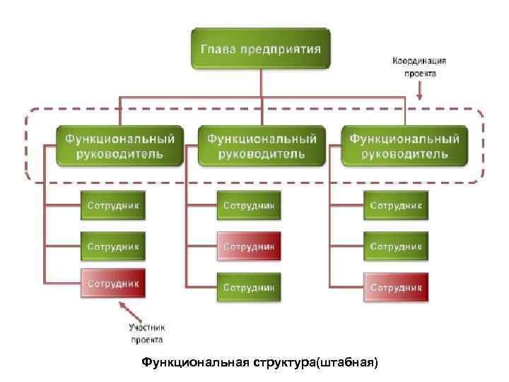 Функциональная структура(штабная) 