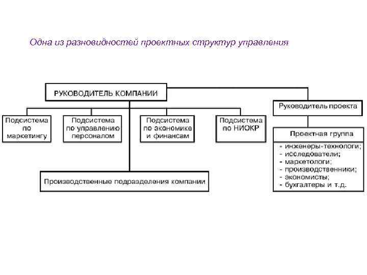 Одна из разновидностей проектных структур управления 