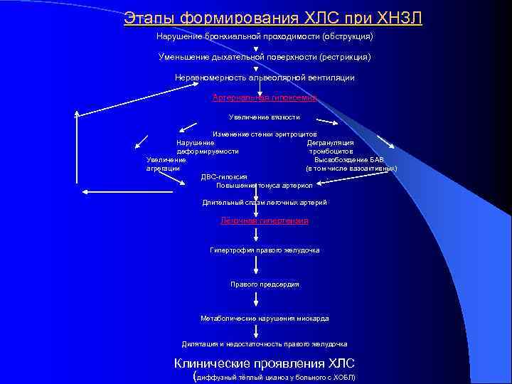 Этапы формирования ХЛС при ХНЗЛ Нарушение бронхиальной проходимости (обструкция) Уменьшение дыхательной поверхности (рестрикция) Неравномерность