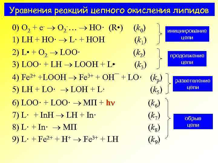 Уравнения реакций цепного окисления липидов 0) O 2 + e- O 2 -… HO·