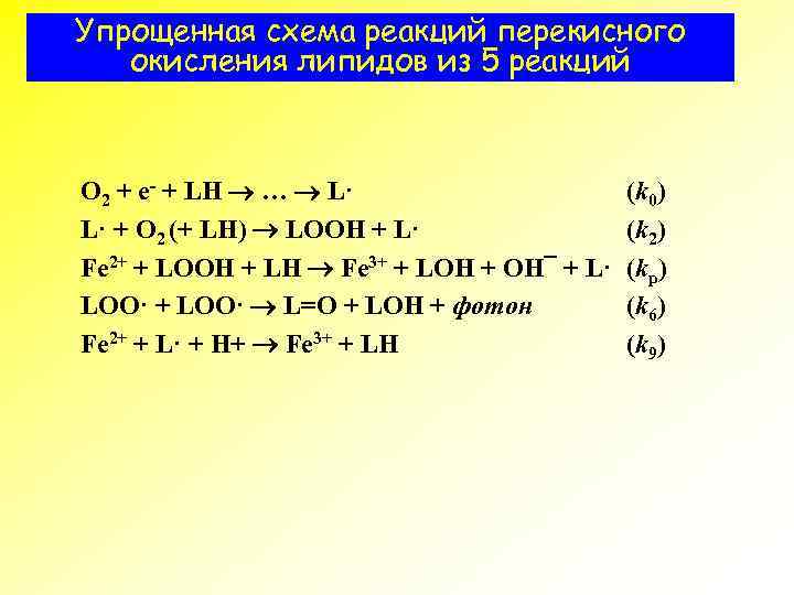 Упрощенная схема реакций перекисного окисления липидов из 5 реакций O 2 + е- +