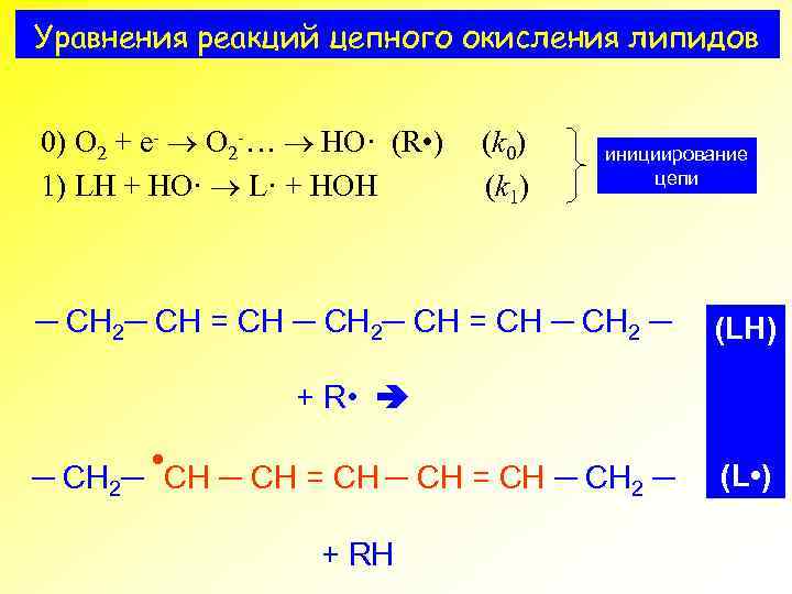 Уравнения реакций цепного окисления липидов 0) O 2 + e- O 2 -… HO·