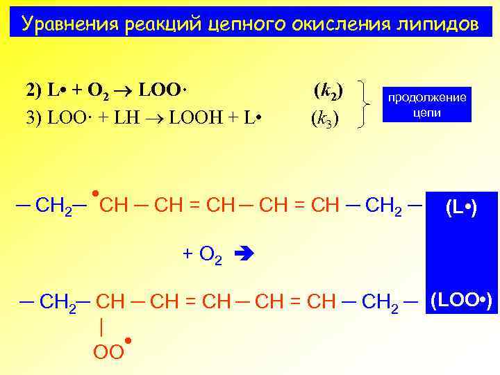 Уравнения реакций цепного окисления липидов 2) L • + O 2 LOO· 3) LOO·