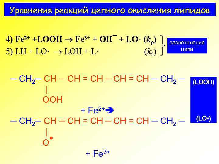 Уравнения реакций цепного окисления липидов 4) Fe 2+ +LOOH Fe 3+ + OH¯ +