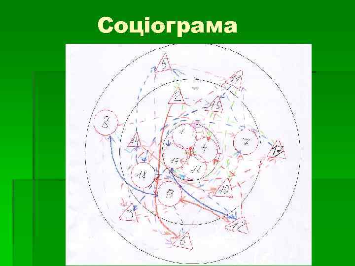 Соціограма 