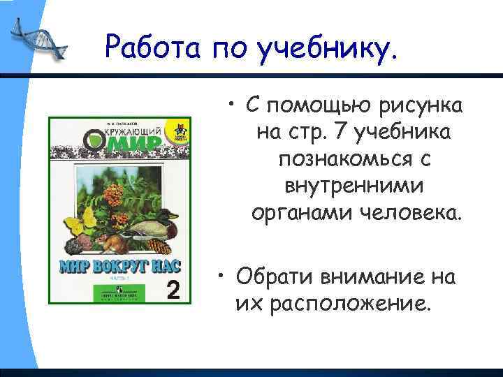 Работа по учебнику. • С помощью рисунка на стр. 7 учебника познакомься с внутренними