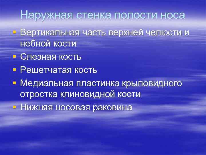 Наружная стенка полости носа § Вертикальная часть верхней челюсти и небной кости § Слезная