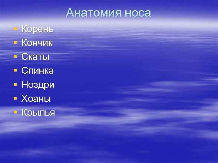 Анатомия носа § § § § Корень Кончик Скаты Спинка Ноздри Хоаны Крылья 