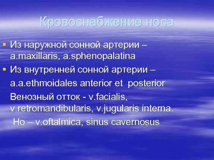 Кровоснабжение носа § Из наружной сонной артерии – a. maxillaris, a. sphenopalatina § Из